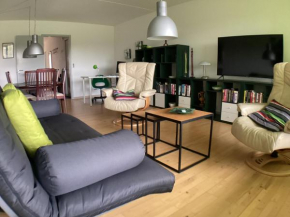 Komfort hjem i Aalborg Aalborg